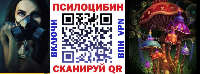 Купить где Исилькуль Галлюциногенные грибы Cubensis